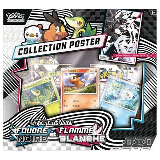 Coffret Collection Poster Foudre Noire + Flamme Blanche